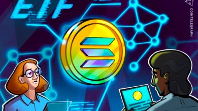 019330ef a15c 7309 bdd6 9deea09b0a5d.jpeg