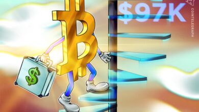 019ac5f4 0673 7920 b3bb 98a75cbb44c0.jpeg