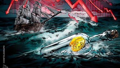 019ac608 e11e 76ee b720 7704e492aa7c.jpeg